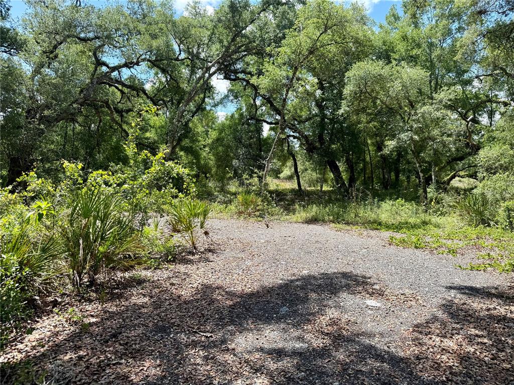 Long Circle Webster, FL 33597 - Photo 1 of 11