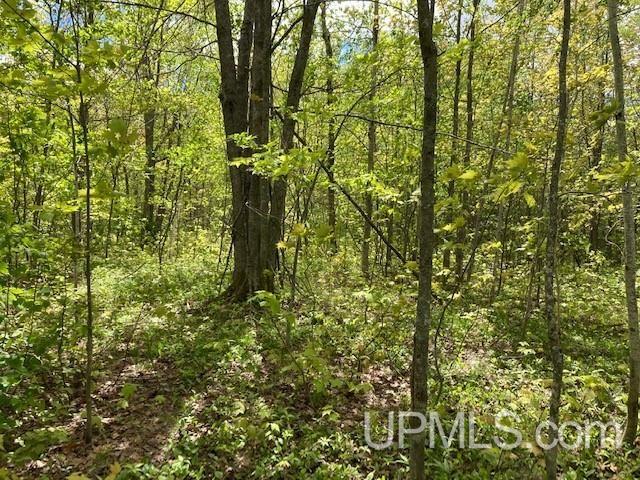 2 Boundary Road Chassell, MI 49916 - Photo 41 of 77