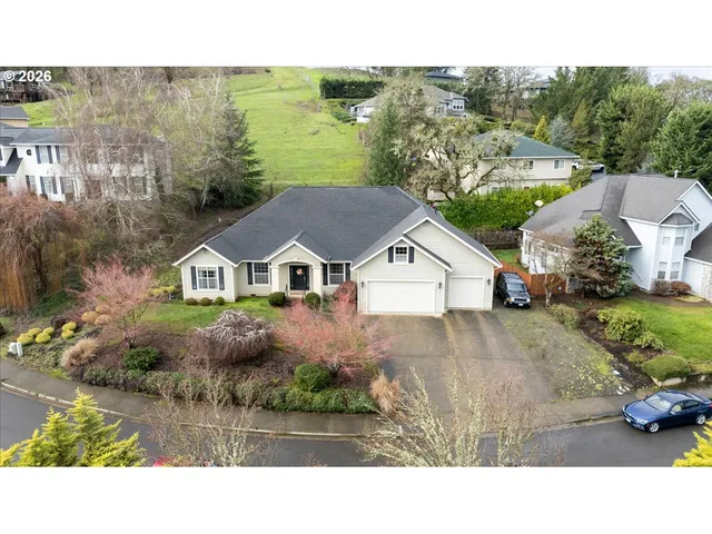 a aerial view of a house with a garden