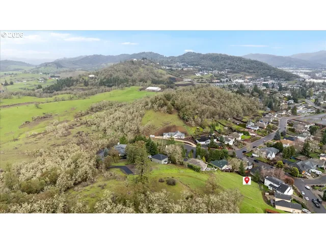 a living room with furniture a large window and a potted plant