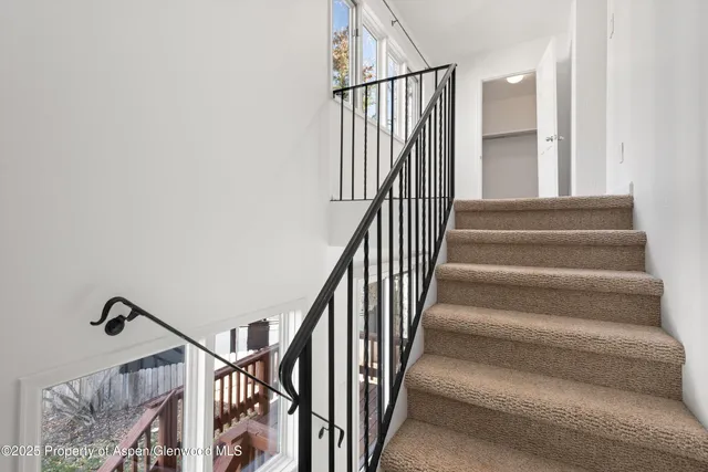 $14,900 | 1120 Dale Avenue, Aspen, CO 81611