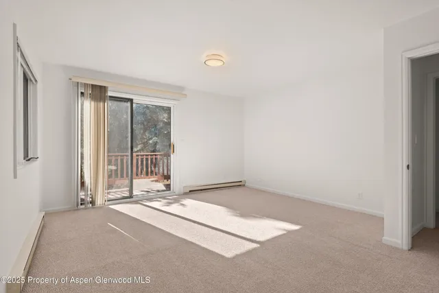 $17,500 | 1120 Dale Avenue, Aspen, CO 81611