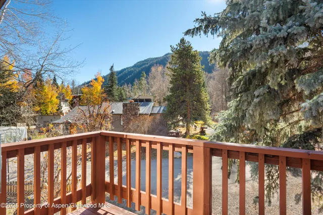 $17,500 | 1120 Dale Avenue, Aspen, CO 81611