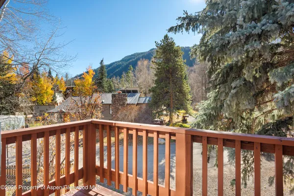 $11,000 | 1120 Dale Avenue, Aspen, CO 81611