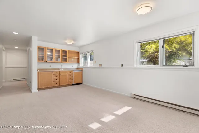 $17,500 | 1120 Dale Avenue, Aspen, CO 81611