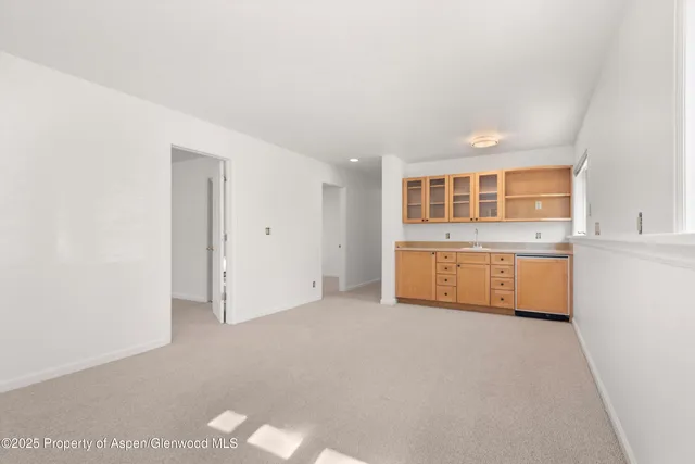 $17,500 | 1120 Dale Avenue, Aspen, CO 81611