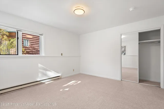 $17,500 | 1120 Dale Avenue, Aspen, CO 81611