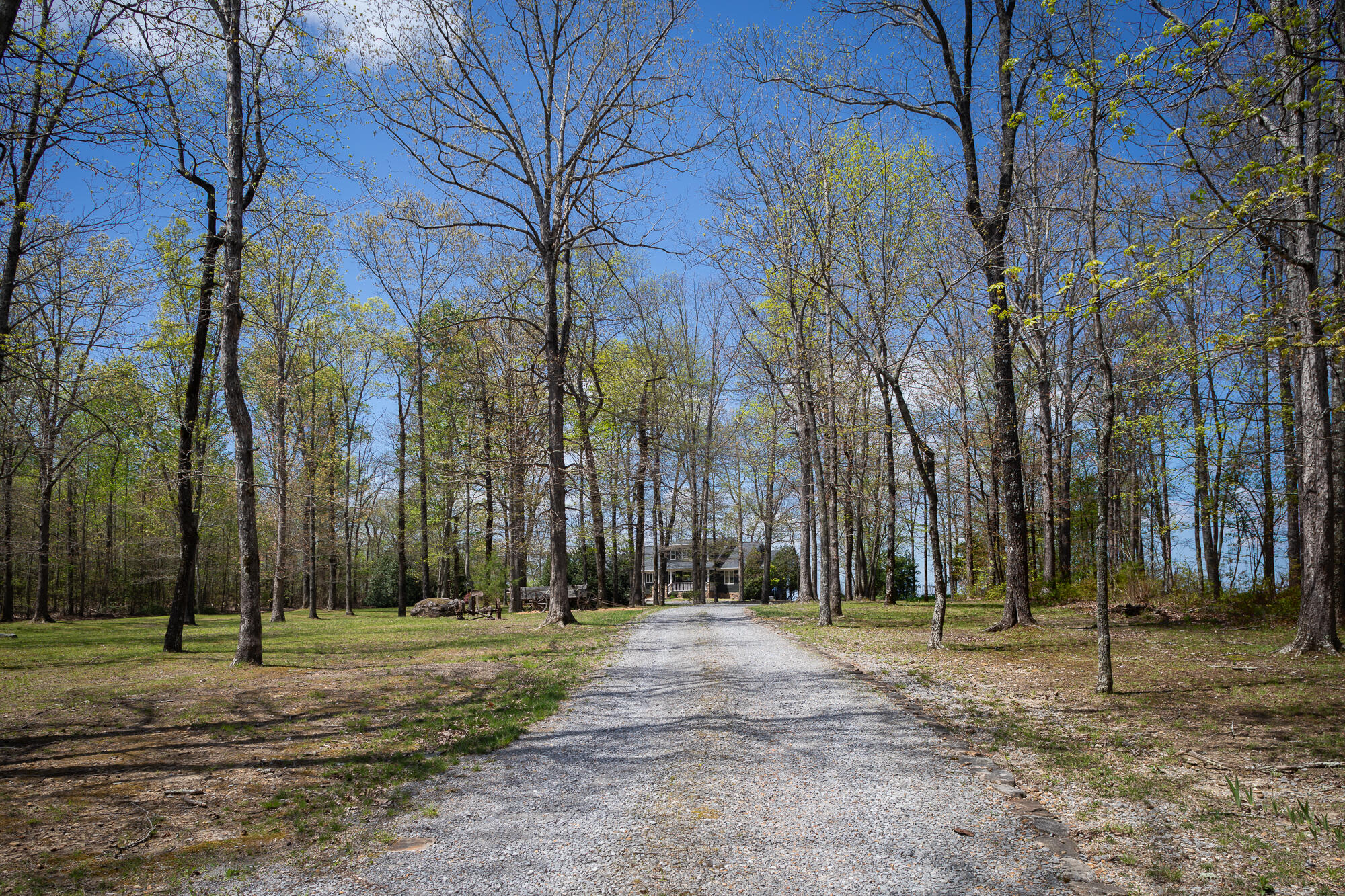 4391 Sunset Drive Rising Fawn, GA 30738 - Photo 45 of 86 20240415_4391Sunset_HoltWebb_0391