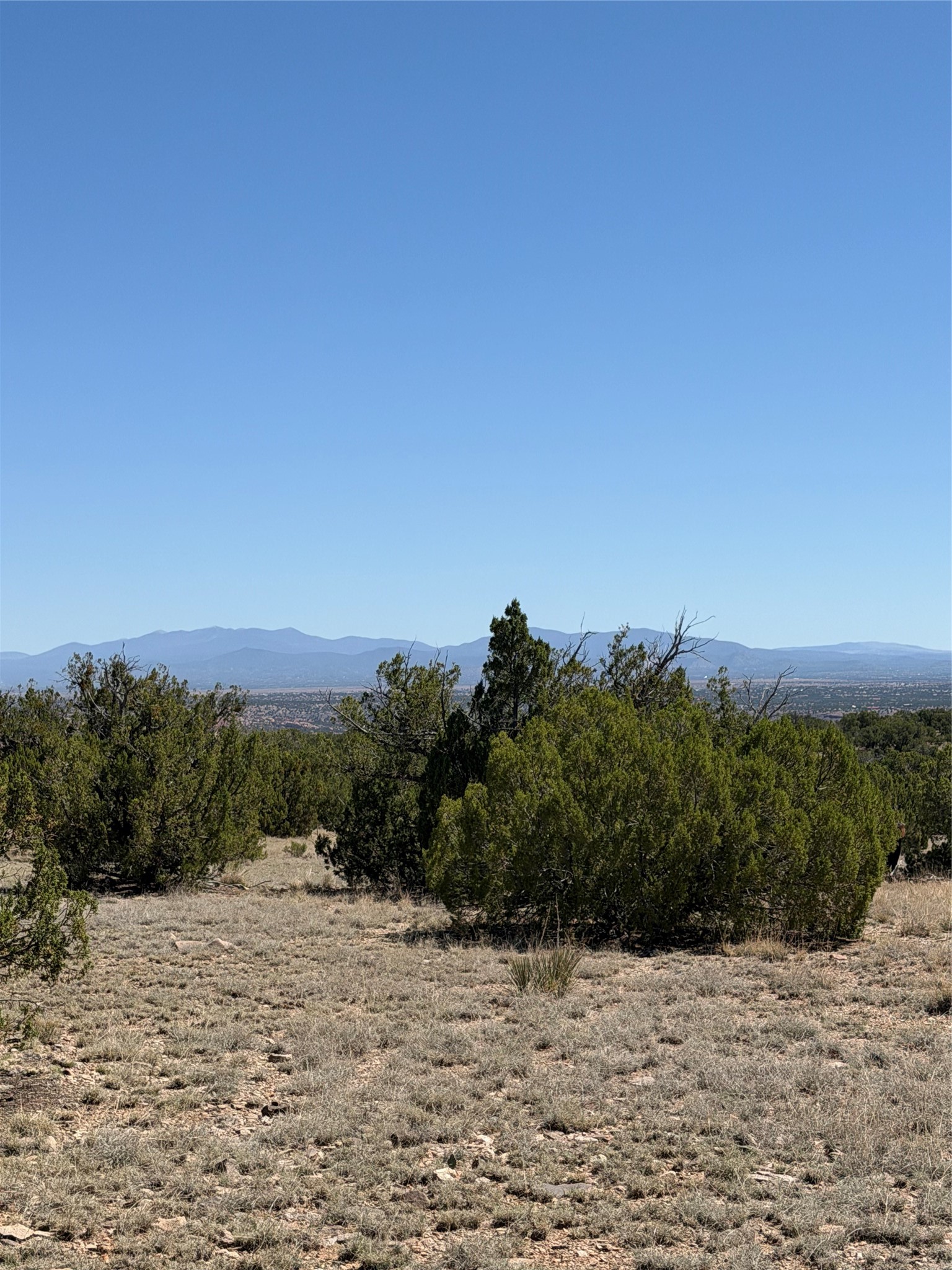 7 C Rancho De Shama, Unit A Cerrillos, NM 87010 - Photo 15 of 19