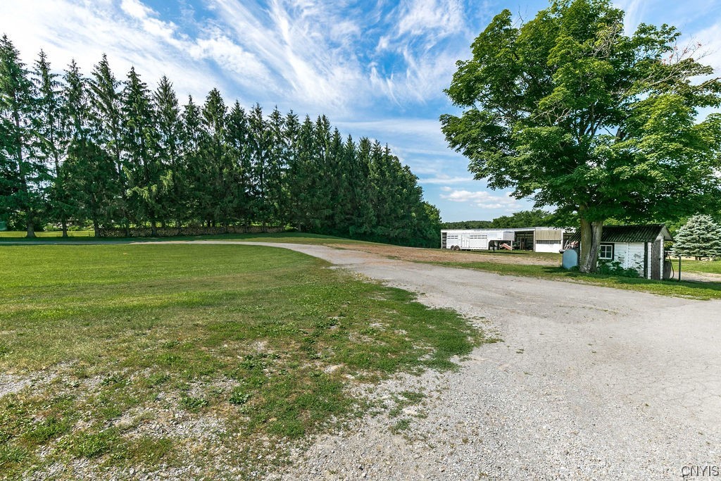 8911 Plainville Road Lysander, NY 13027 - Photo 20 of 43