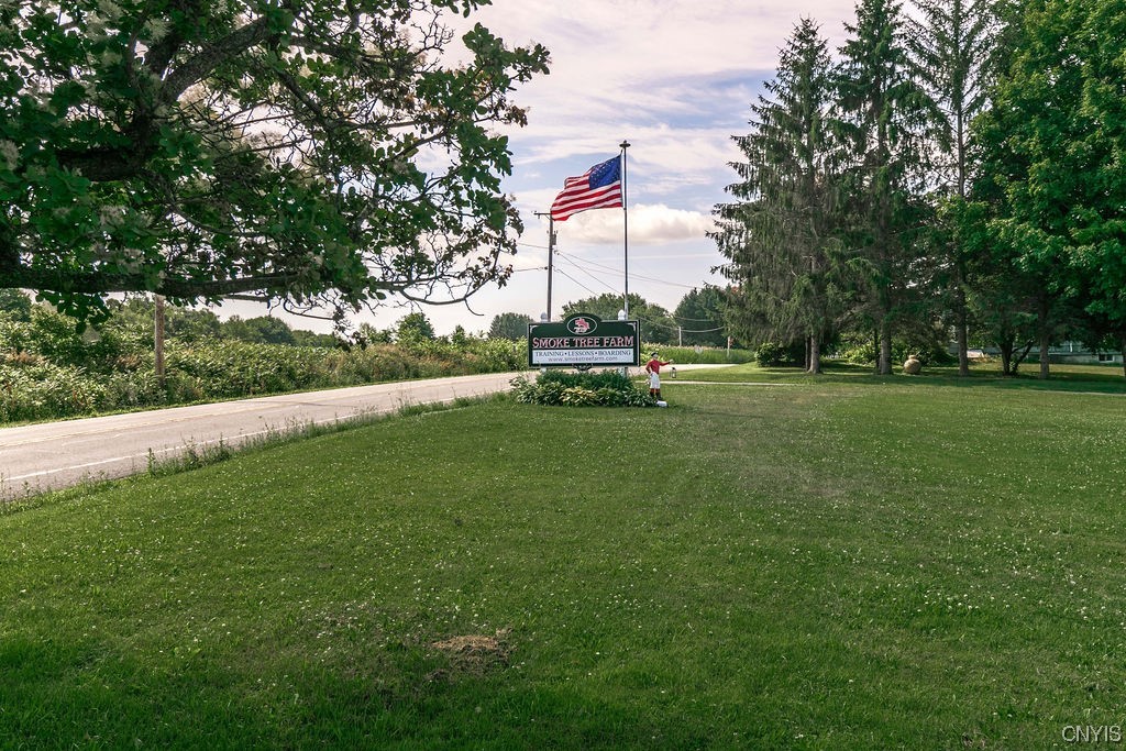 8911 Plainville Road Lysander, NY 13027 - Photo 2 of 43 also know as Smoke Tree Farm