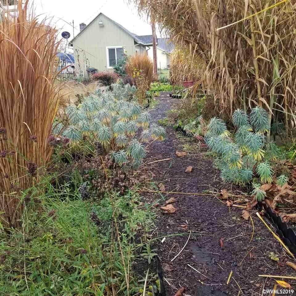 11190 Meridian Street Independence, OR 97351 - Photo 7 of 18