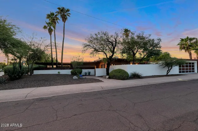 a row of palm trees and a yard with wooden fence