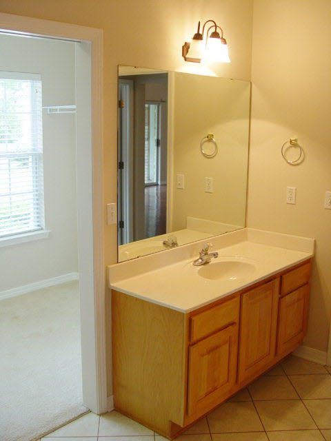 9546 Mosley Road Fairhope, AL 36532 - Photo 34 of 45 Hall bath to closet