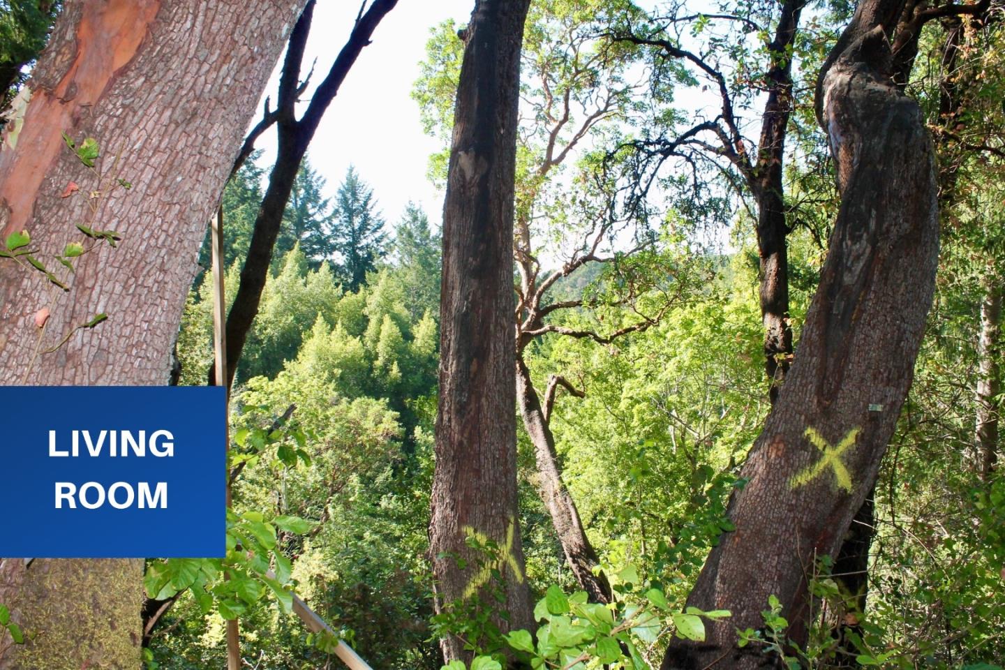 5588 Alpine Road Portola Valley, CA 94028 - Photo 15 of 38 a sign that is sitting in front of a tree