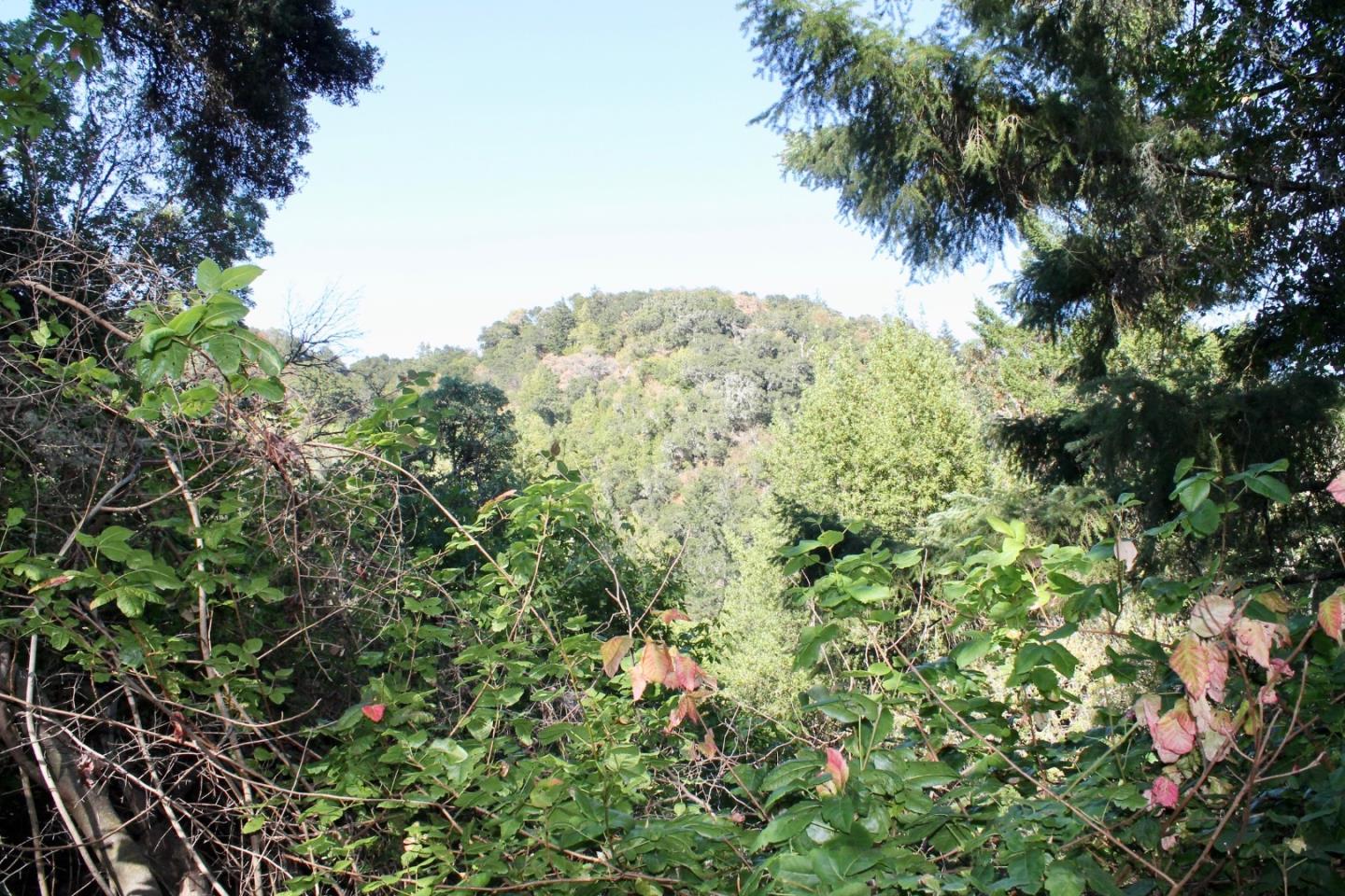 5588 Alpine Road Portola Valley, CA 94028 - Photo 23 of 38 a view of a tree