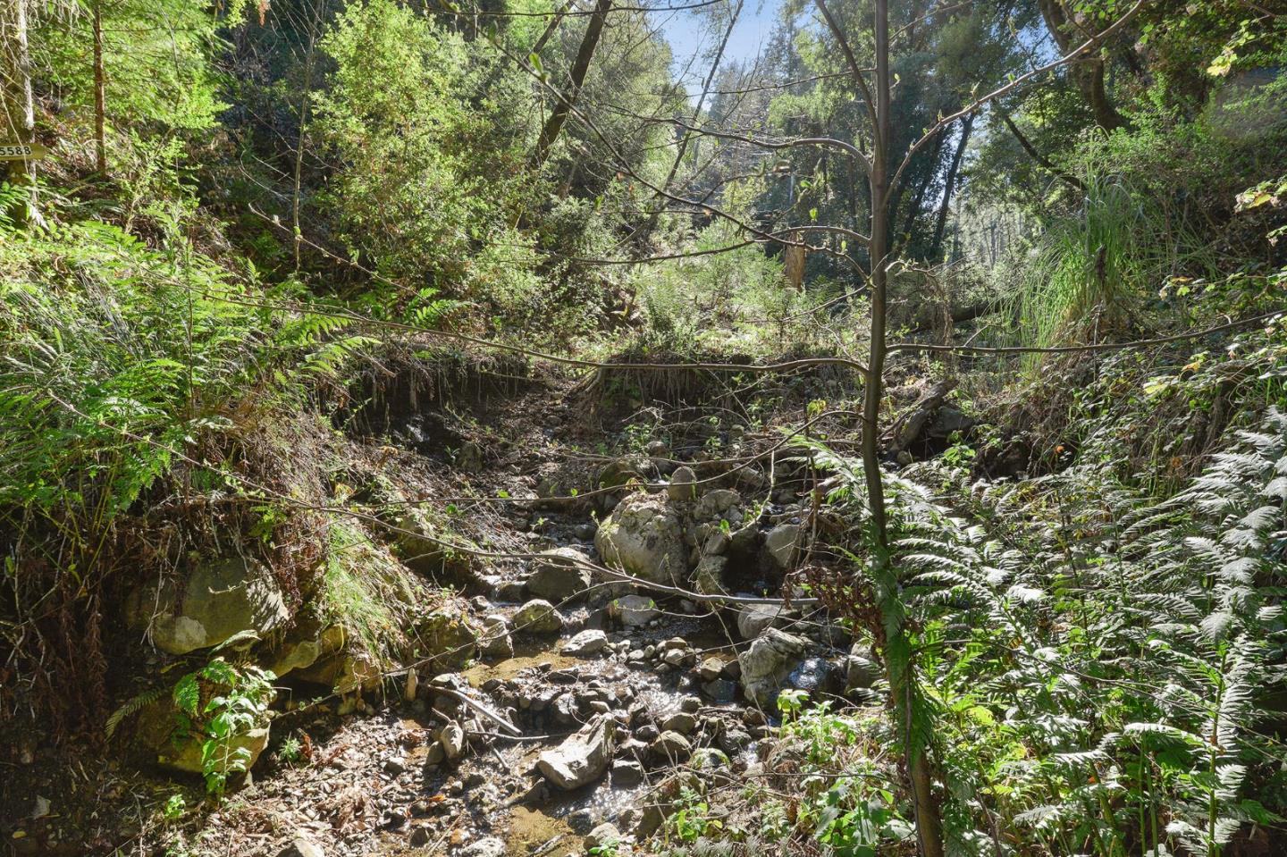5588 Alpine Road Portola Valley, CA 94028 - Photo 24 of 38 a view of a tree