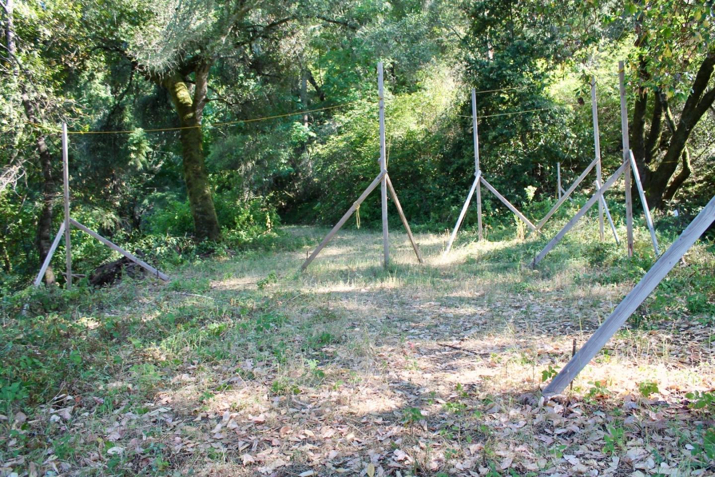 5588 Alpine Road Portola Valley, CA 94028 - Photo 32 of 38 a view of a yard with a tree
