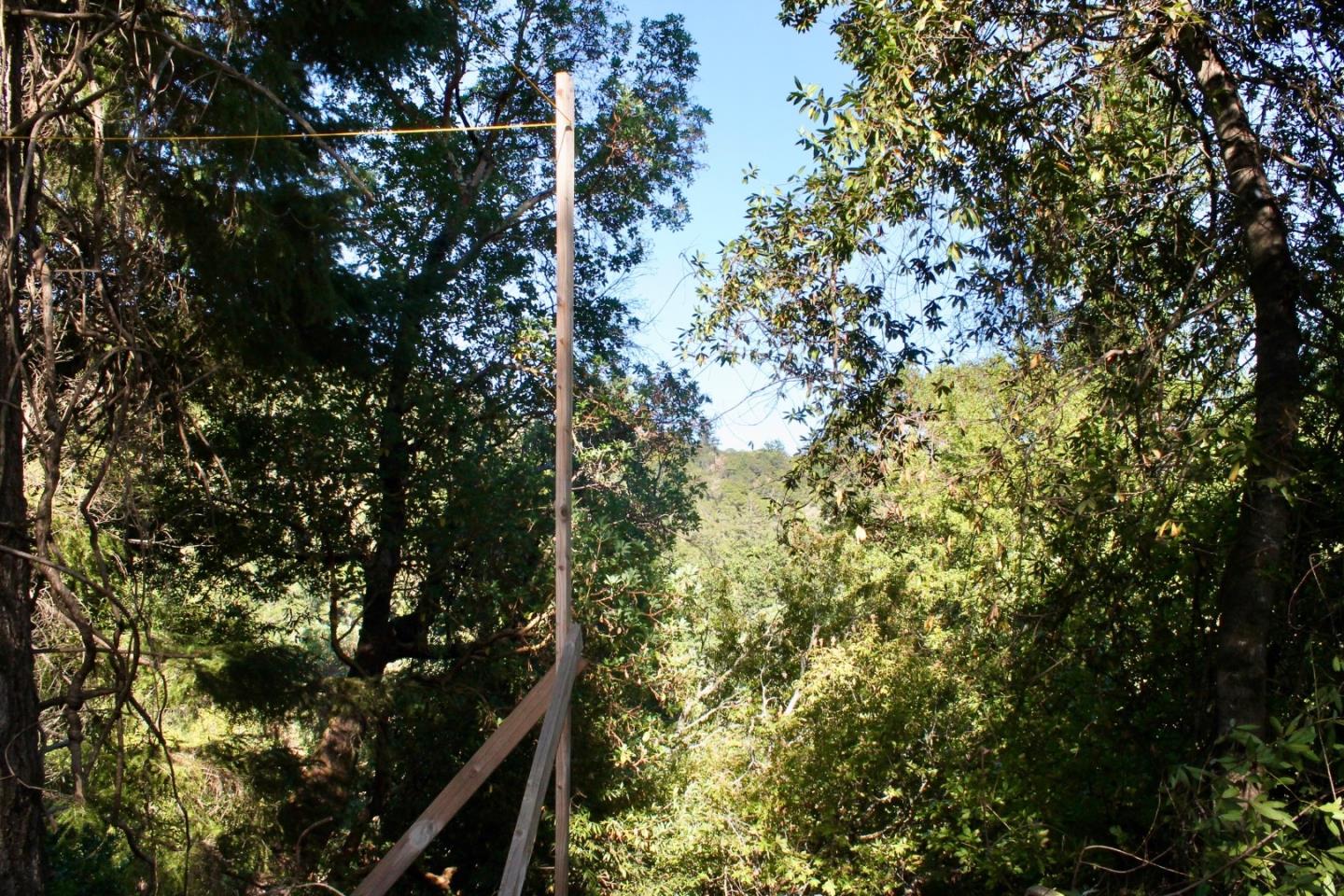 5588 Alpine Road Portola Valley, CA 94028 - Photo 33 of 38 a view of tree