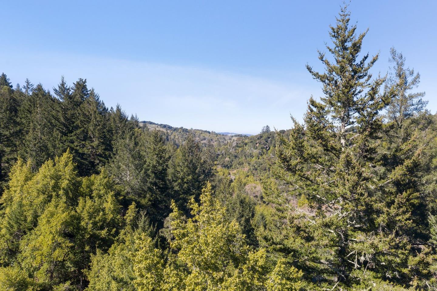 5588 Alpine Road Portola Valley, CA 94028 - Photo 6 of 38