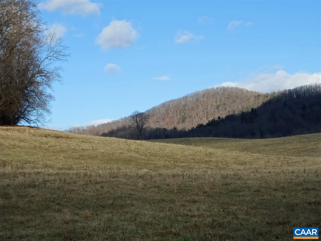 2629 Champe Plain Road Madison, VA 22719 - Photo 4 of 10 Gallery Image 4