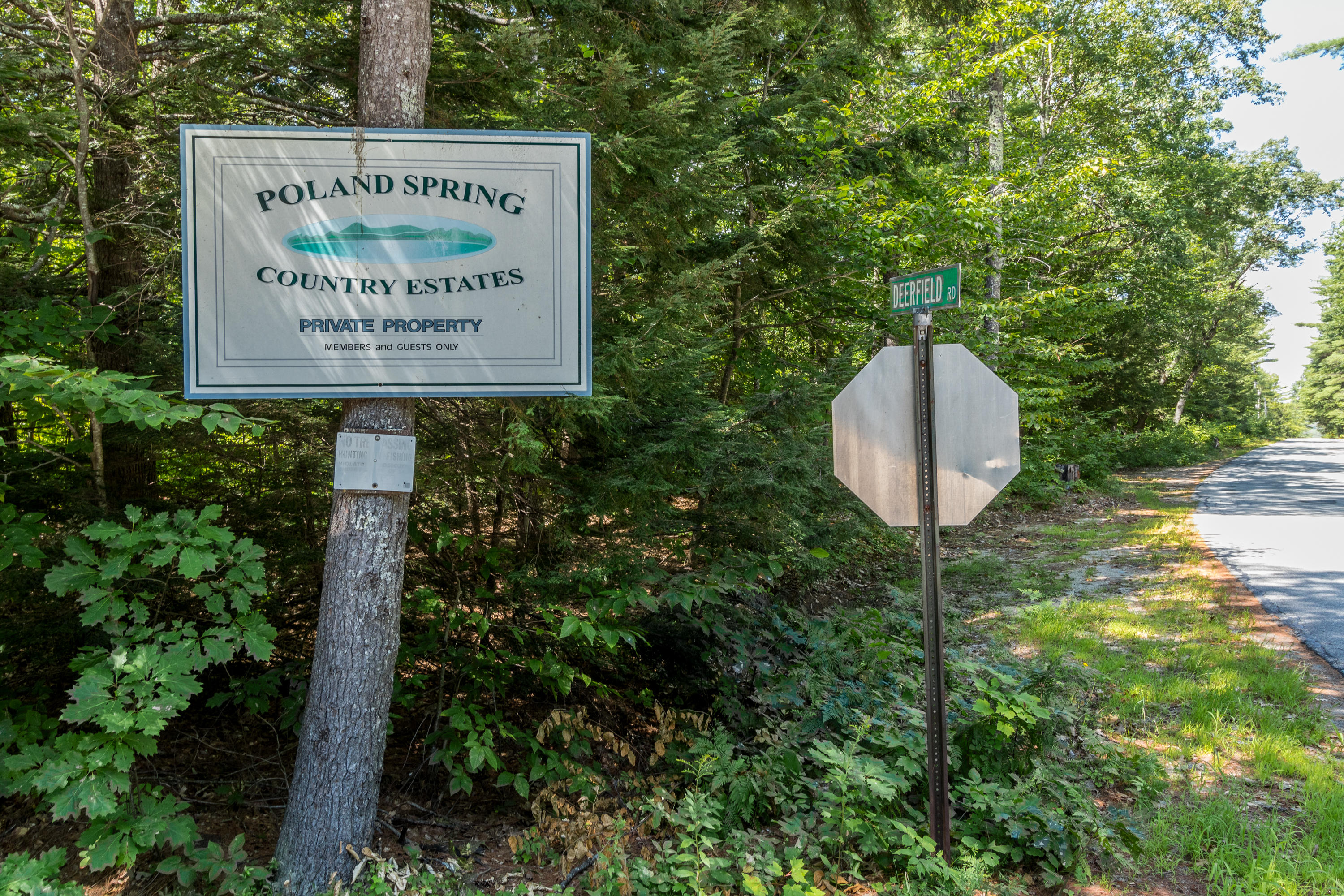 166 Deerfield Road Poland, ME 04274 - Photo 2 of 62 20200818DM-51001