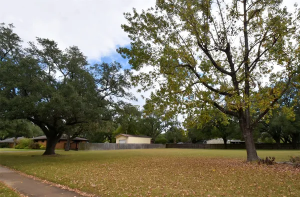 a view of an ocean and trees