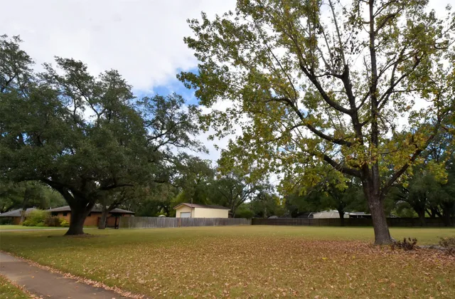 a view of an ocean and trees