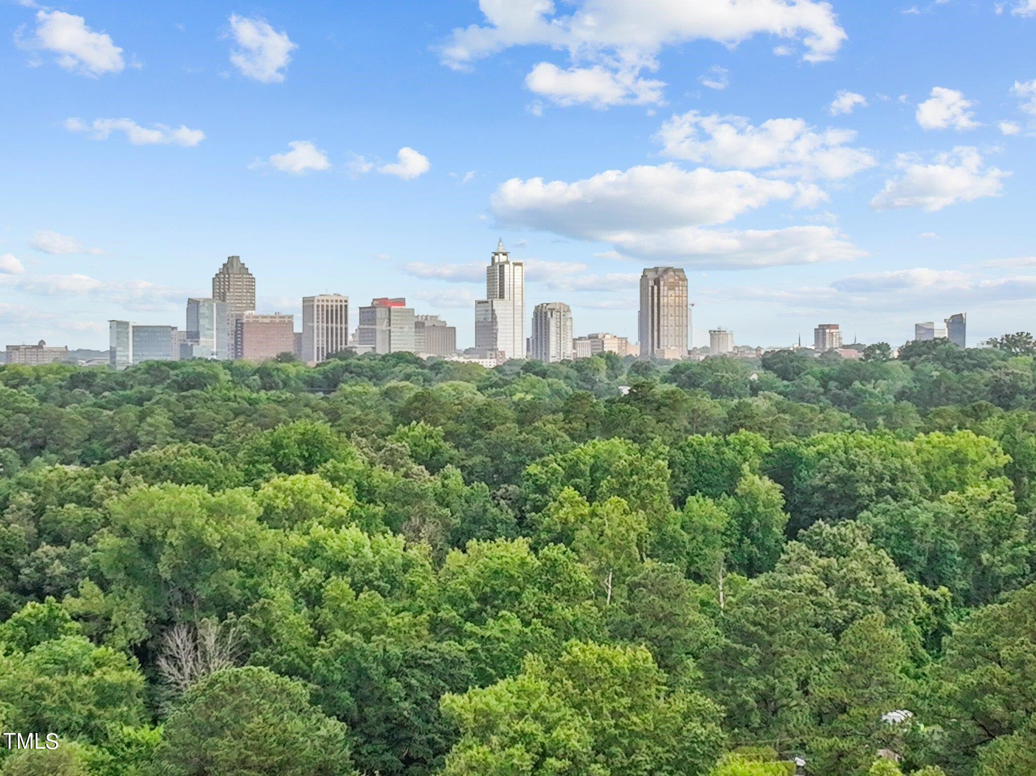 29 Enterprise Street, Unit 310 Raleigh, NC 27607 - Photo 3 of 3 a view of a city with tall buildings