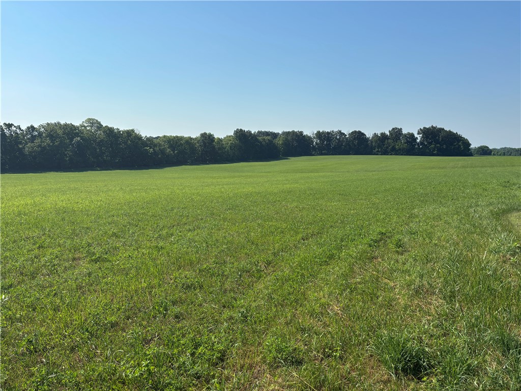 17156 West Newell Road Danville, IL 61834 - Photo 2 of 23