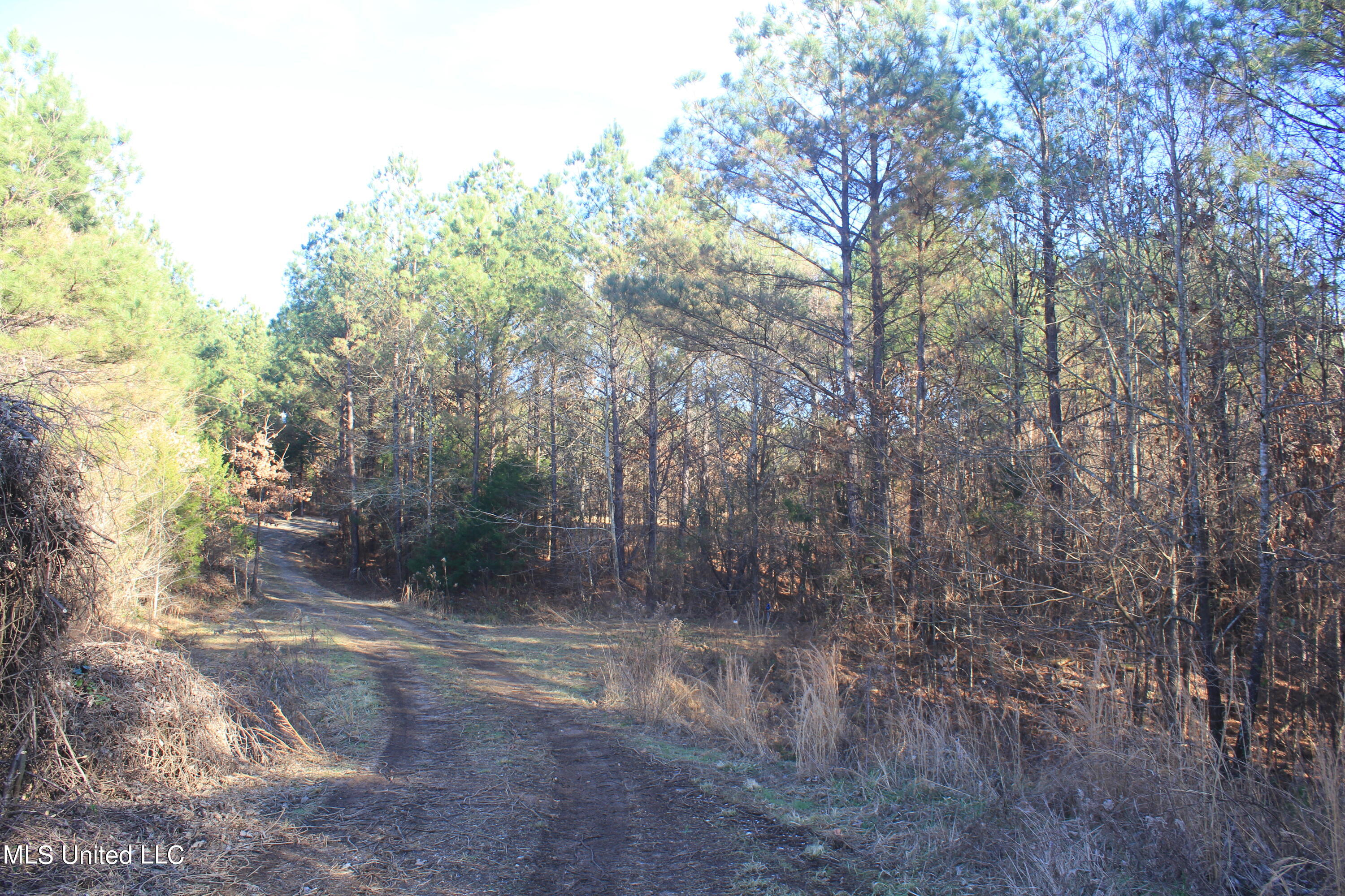 399 Buchanan Road Byhalia, MS 38611 - Photo 11 of 24 IMG_7879