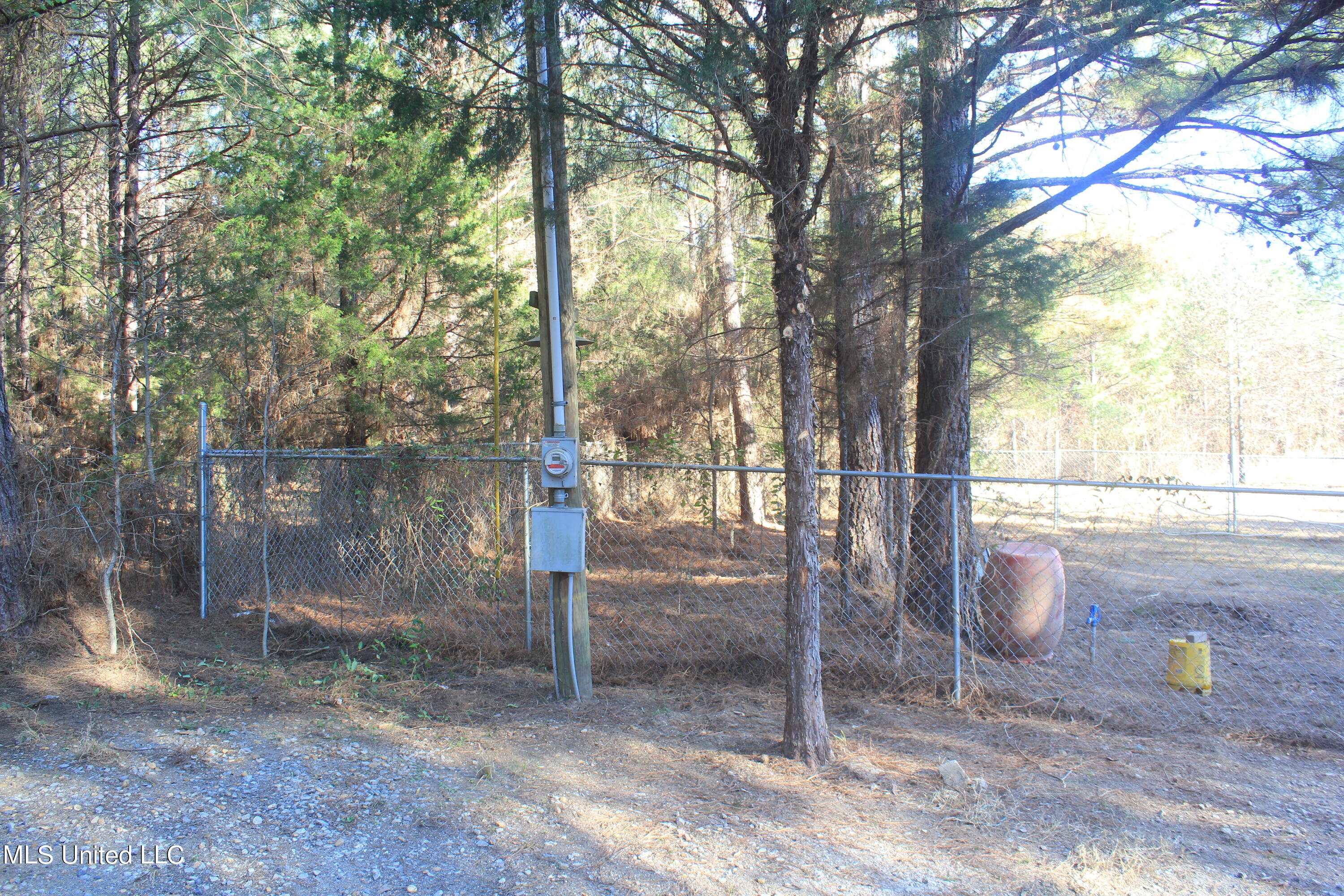 399 Buchanan Road Byhalia, MS 38611 - Photo 14 of 24 IMG_7882