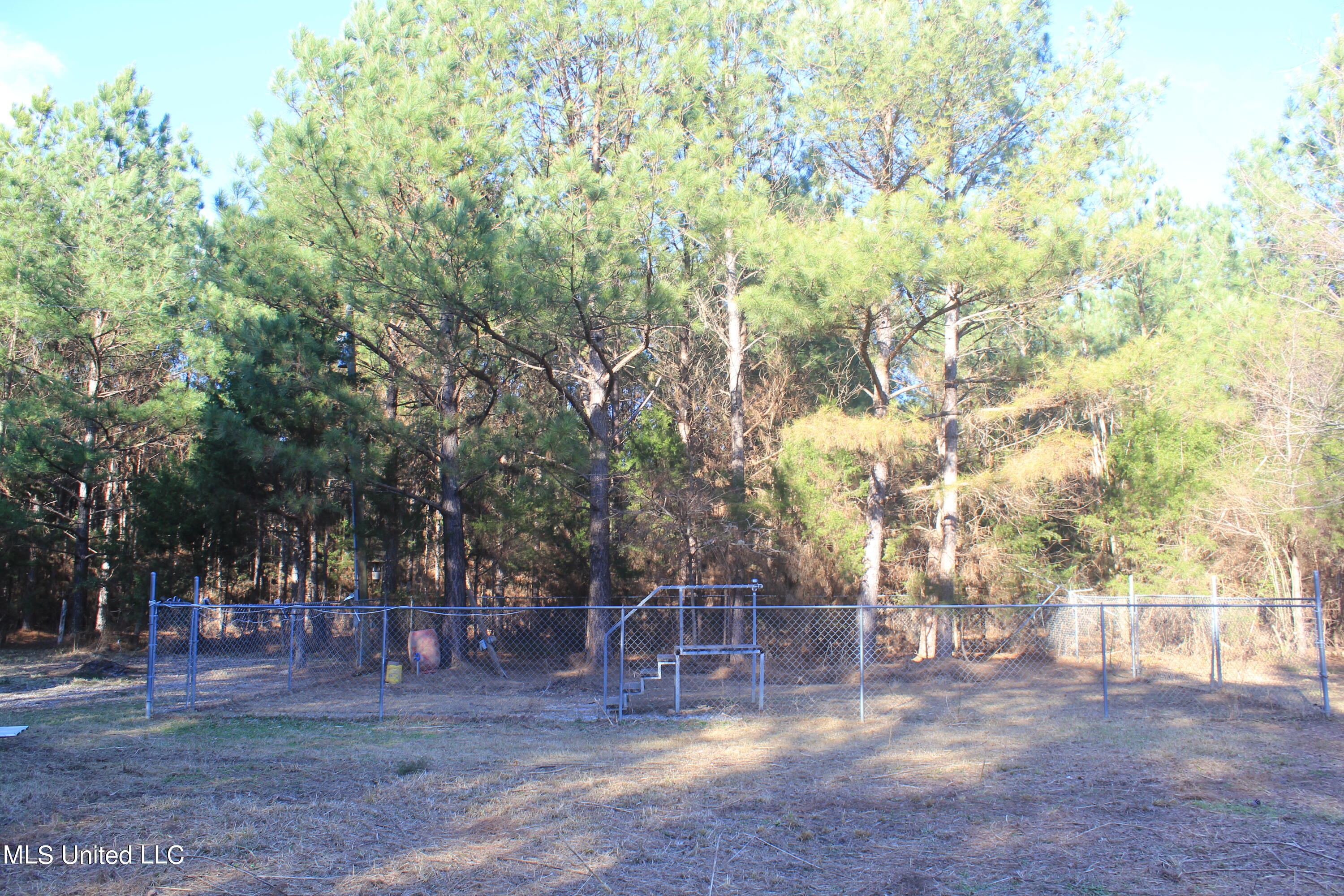 399 Buchanan Road Byhalia, MS 38611 - Photo 17 of 24 IMG_7885