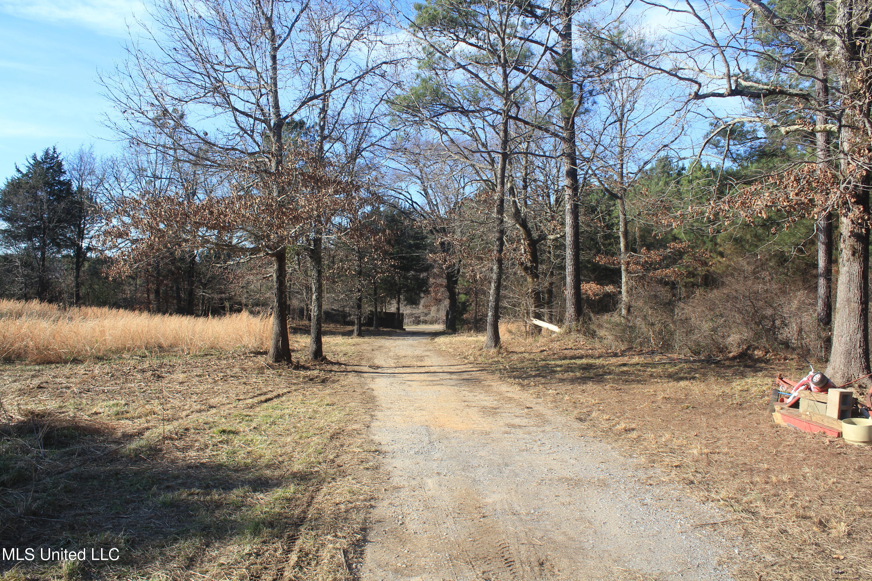 399 Buchanan Road Byhalia, MS 38611 - Photo 6 of 24 IMG_7874