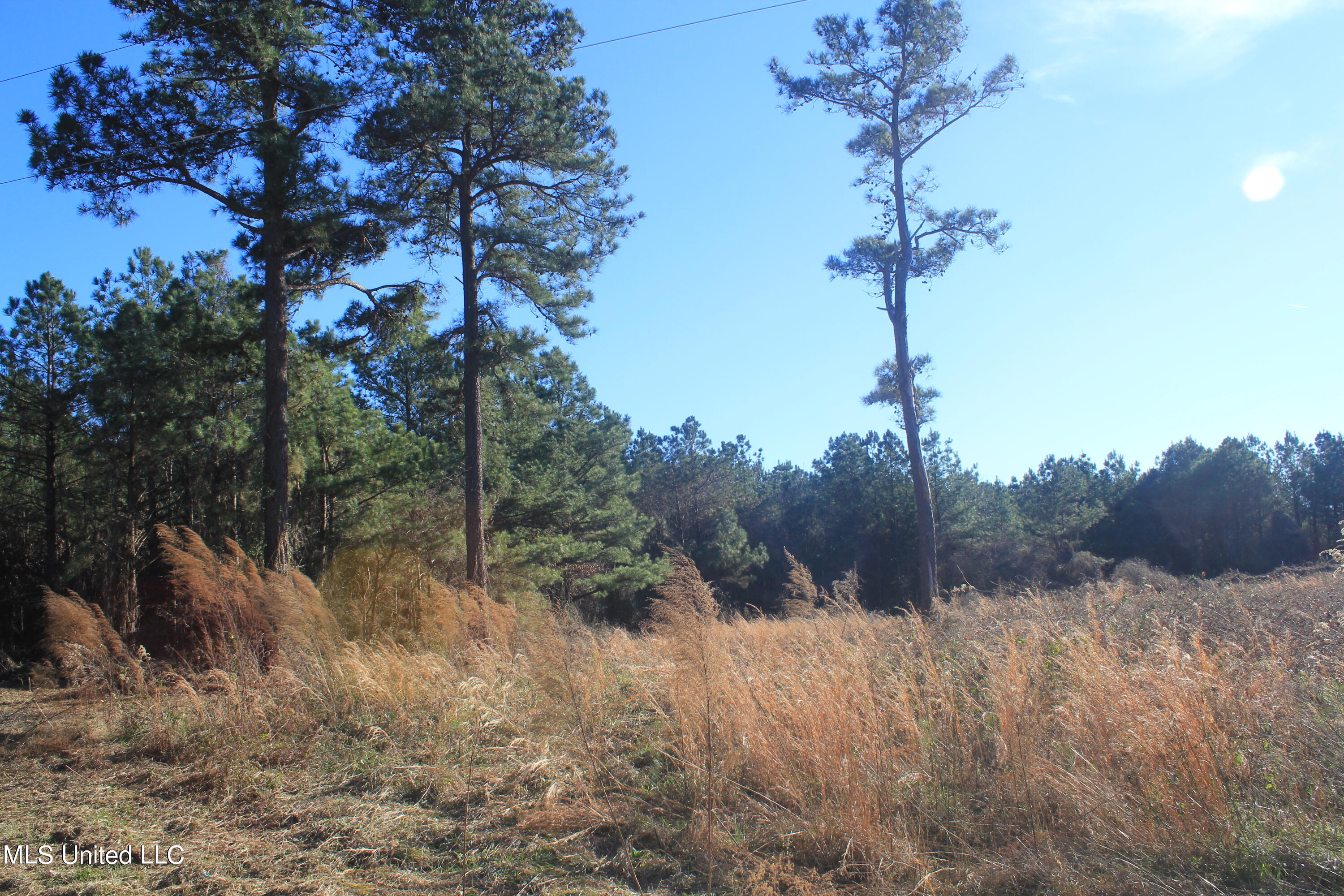 399 Buchanan Road Byhalia, MS 38611 - Photo 8 of 24 IMG_7876