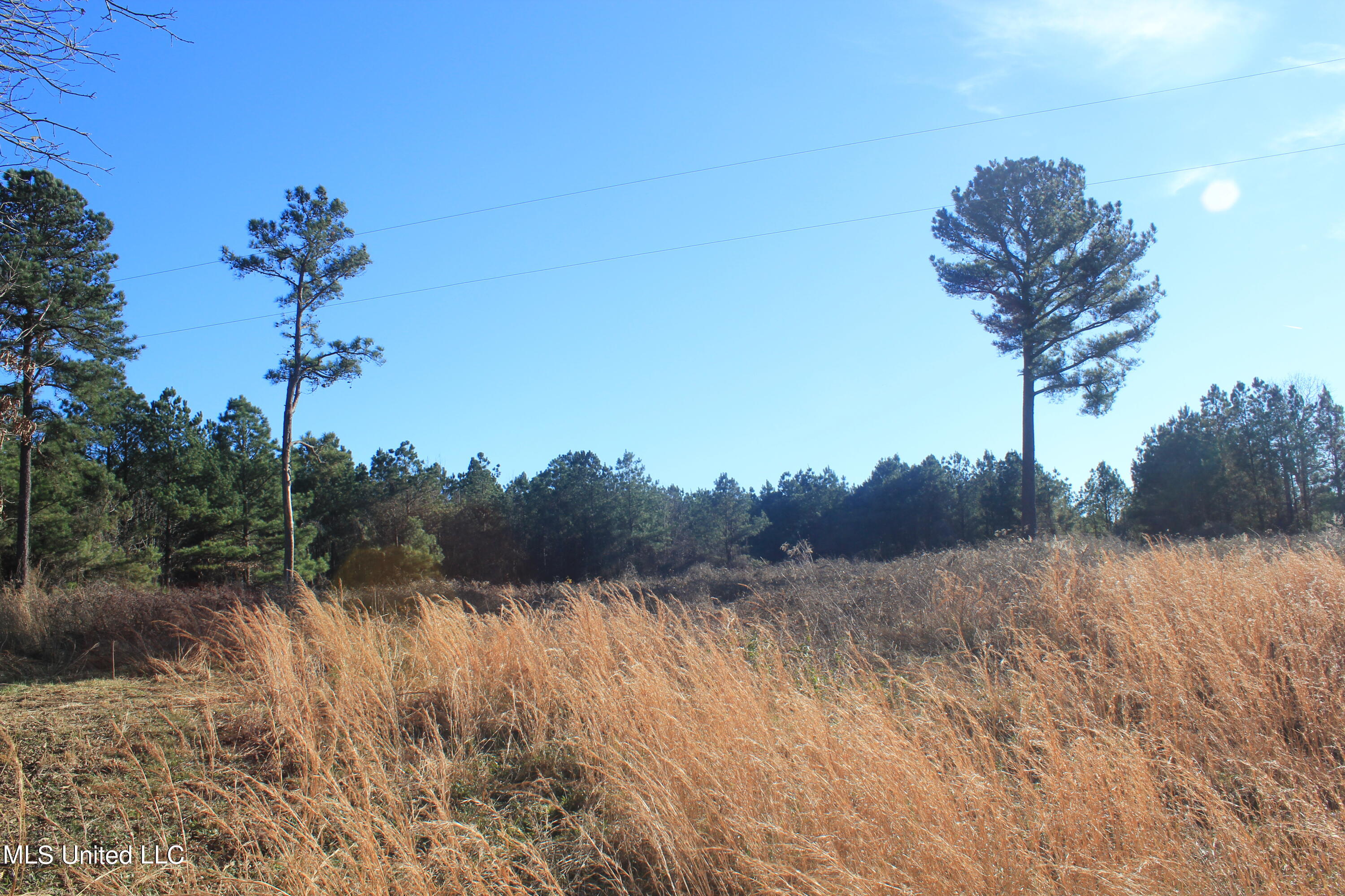 399 Buchanan Road Byhalia, MS 38611 - Photo 9 of 24 IMG_7877