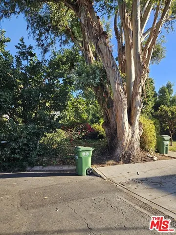 a view of road and trees