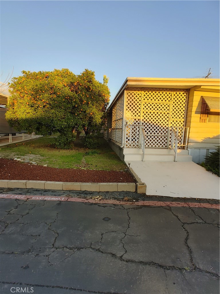 a view of a backyard