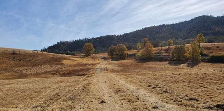 6469 Dark Hollow Road Medford, OR 97501 - Photo 5 of 7 Fall 1