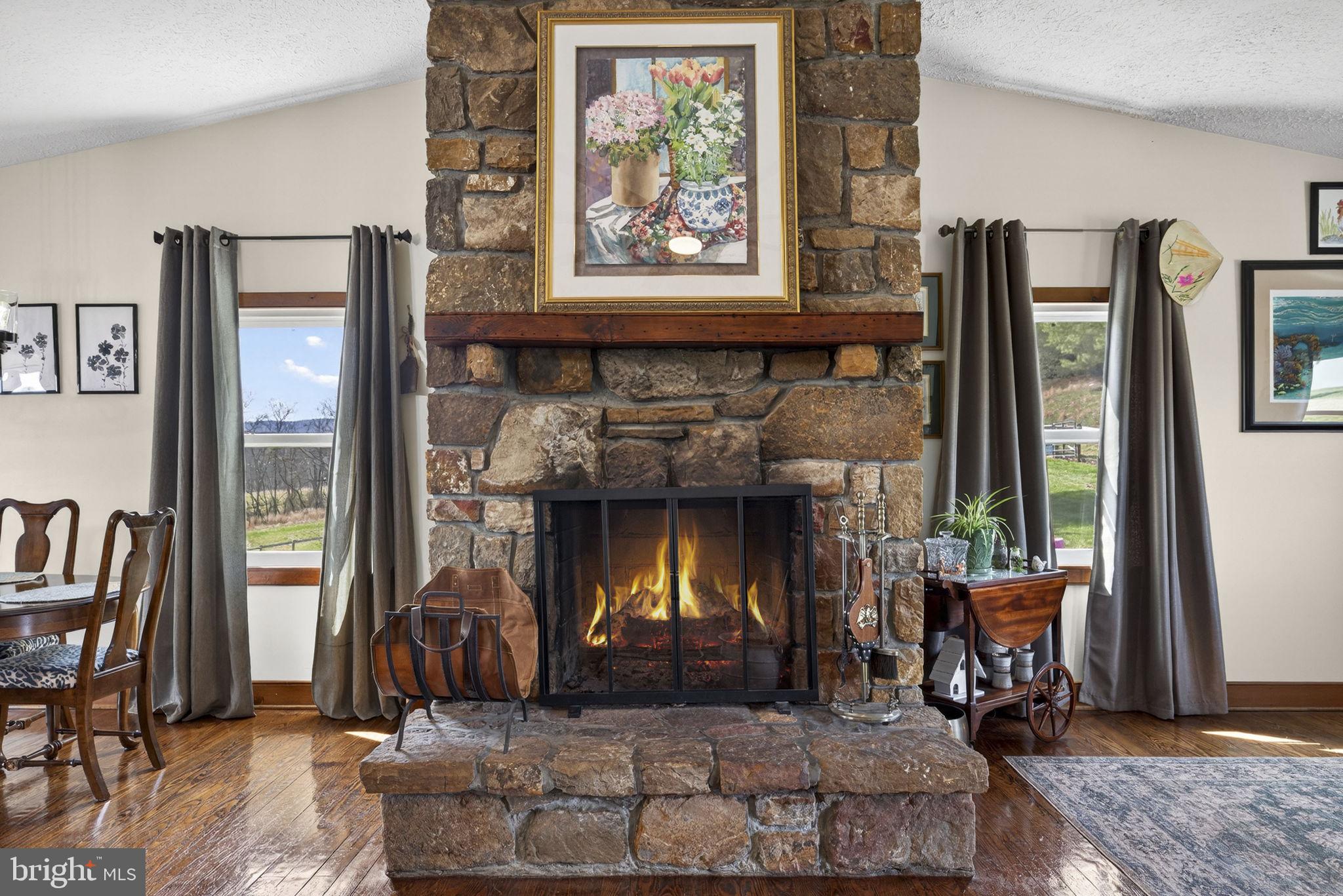 740 Whitacre Road Gore, VA 22637 - Photo 10 of 95 Breathtaking Fireplace
