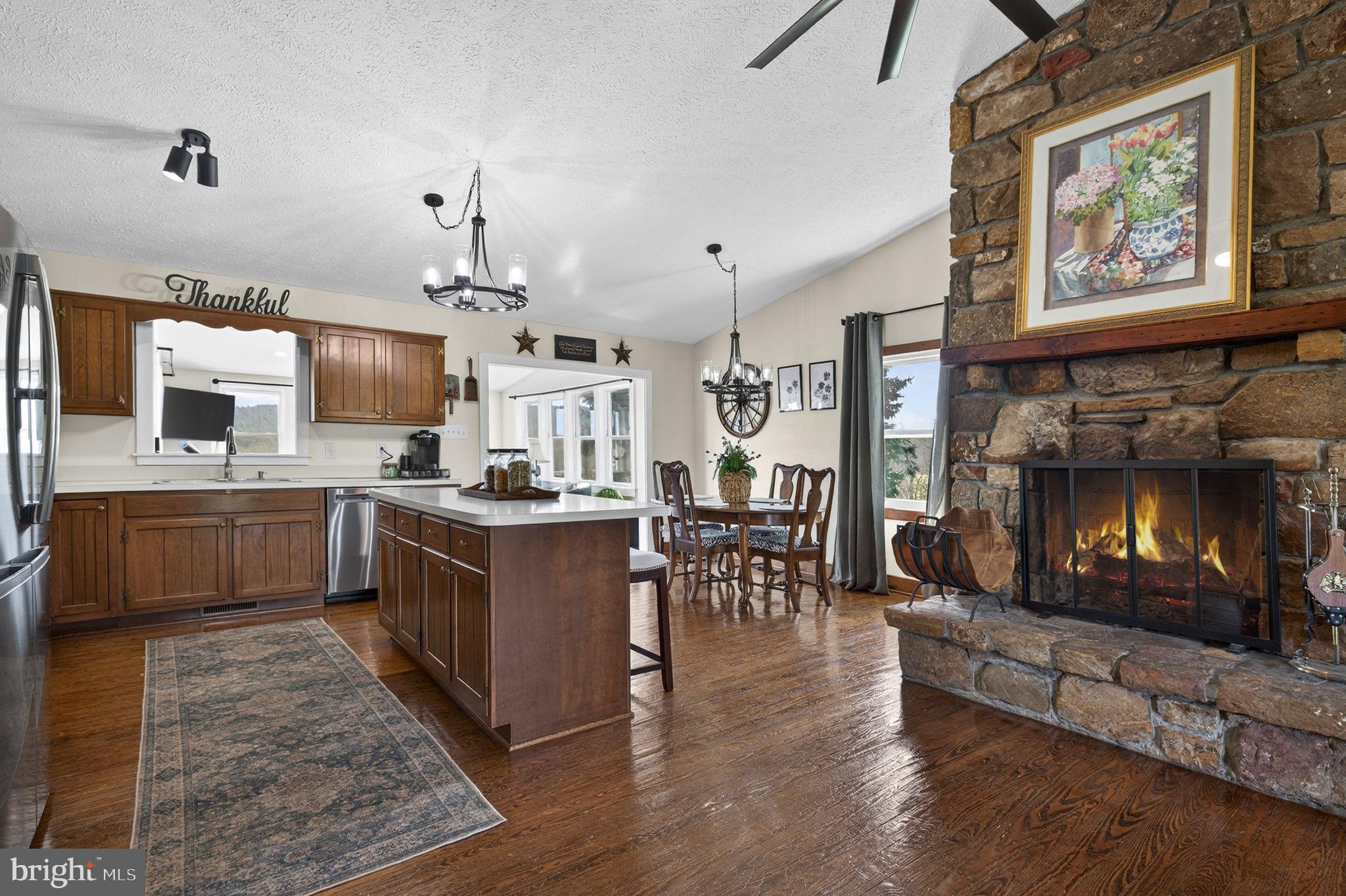 740 Whitacre Road Gore, VA 22637 - Photo 11 of 95 Kitchen / Dining / Fireplace