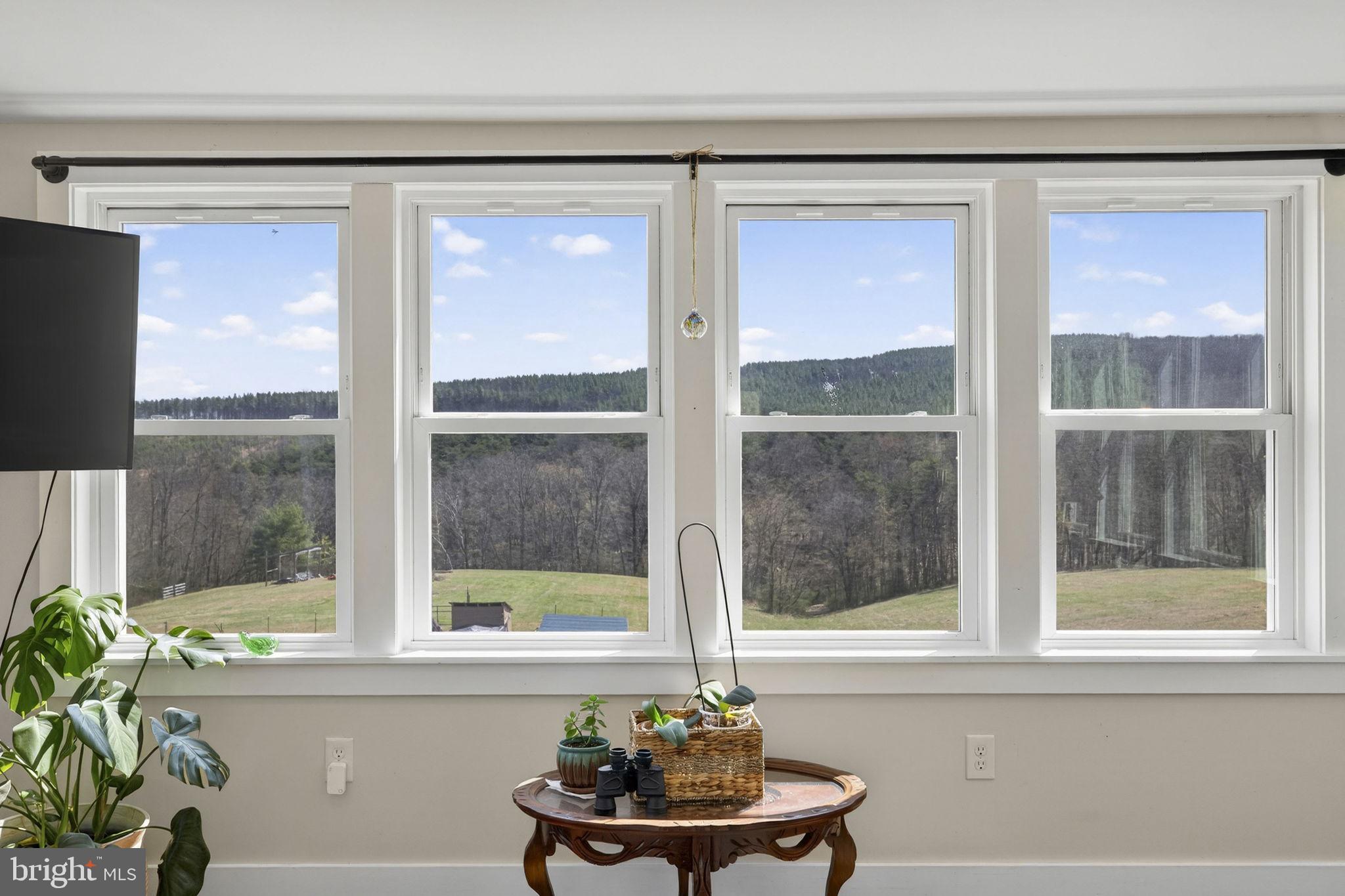740 Whitacre Road Gore, VA 22637 - Photo 25 of 95 Mountain Views from Sunroom