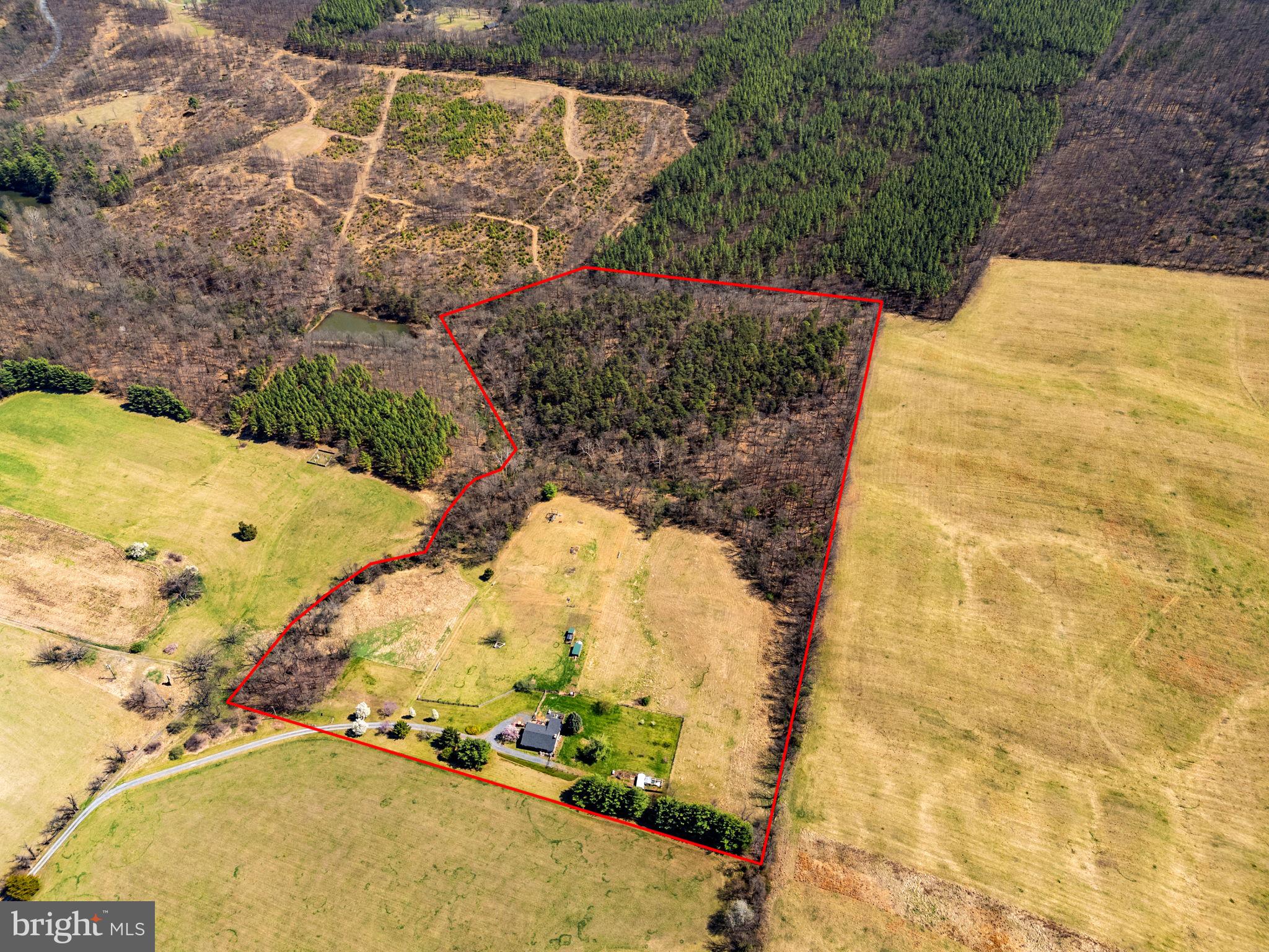 740 Whitacre Road Gore, VA 22637 - Photo 3 of 95 Aerial with Boundary Lines 25.98 Acres