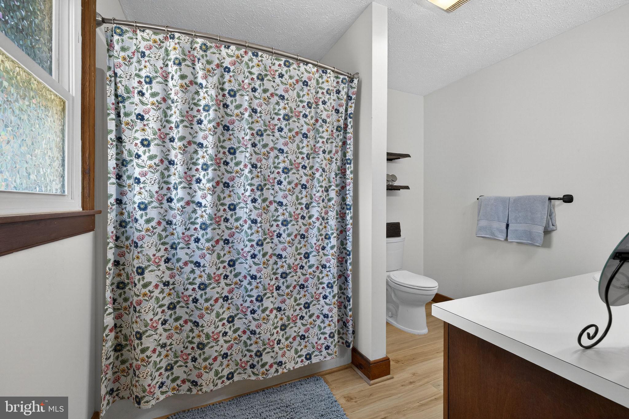 740 Whitacre Road Gore, VA 22637 - Photo 42 of 95 Primary Bathroom