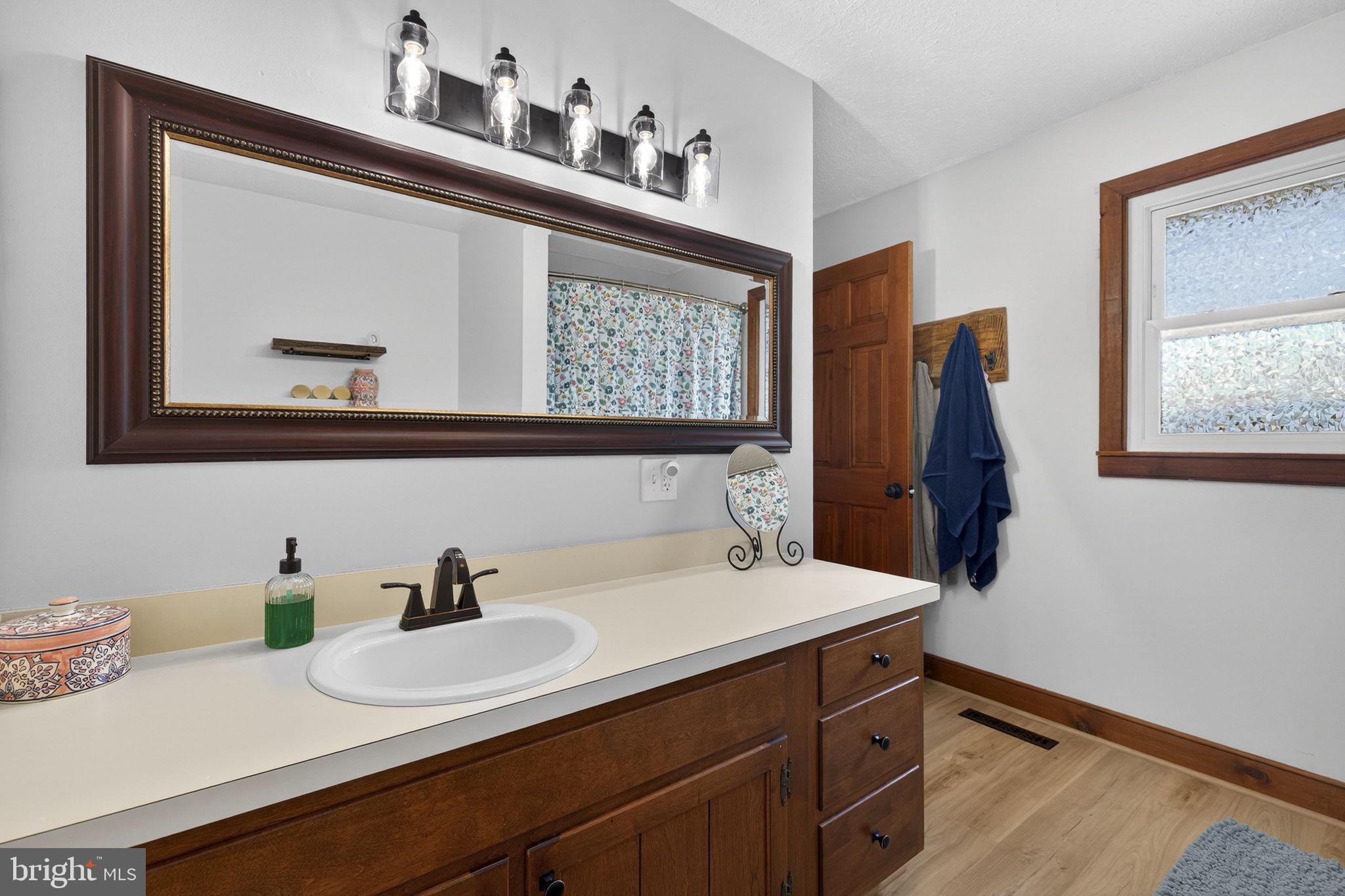 740 Whitacre Road Gore, VA 22637 - Photo 43 of 95 Primary Bathroom