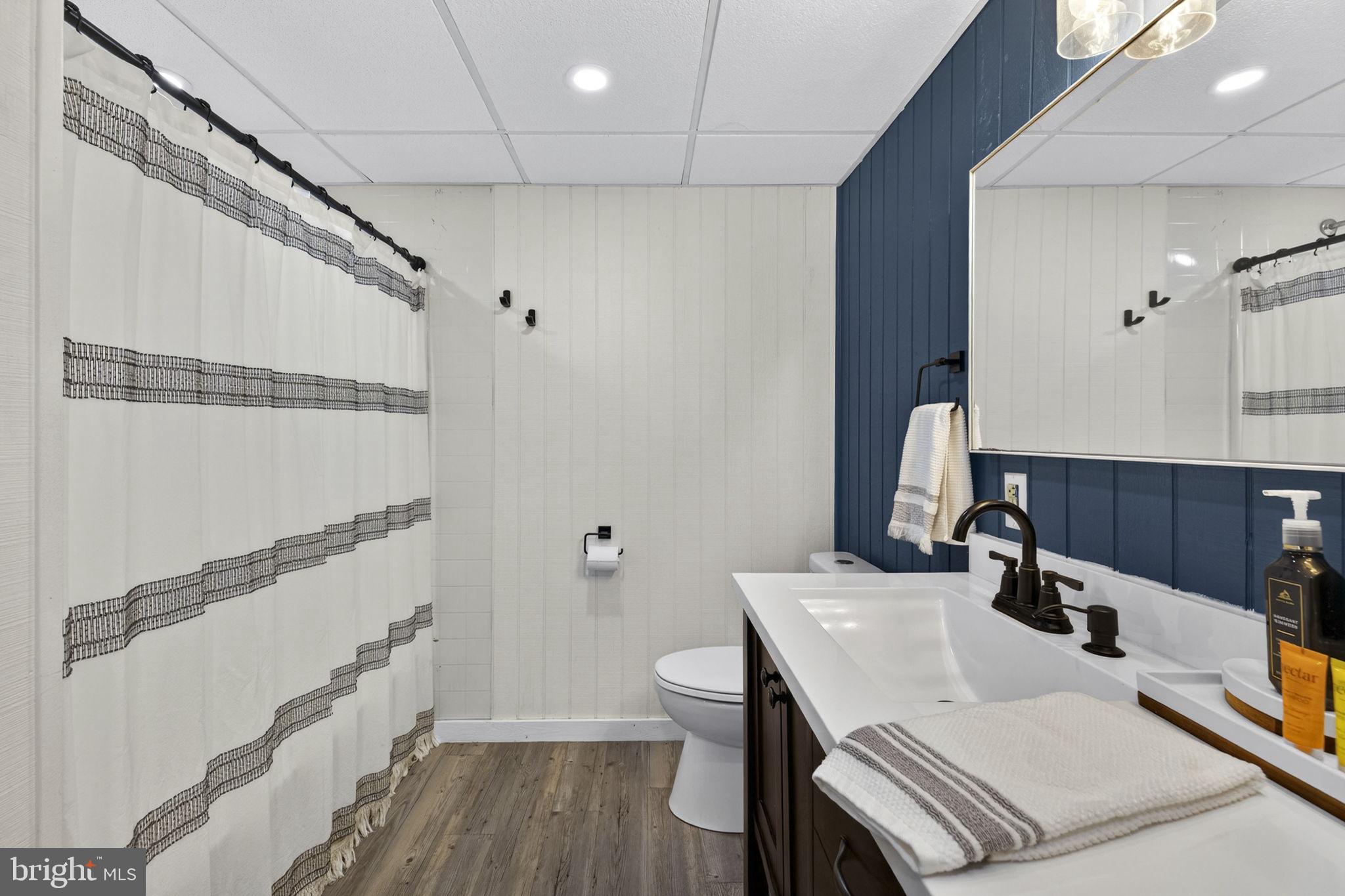 740 Whitacre Road Gore, VA 22637 - Photo 54 of 95 Lower Level - Full Bathroom #3