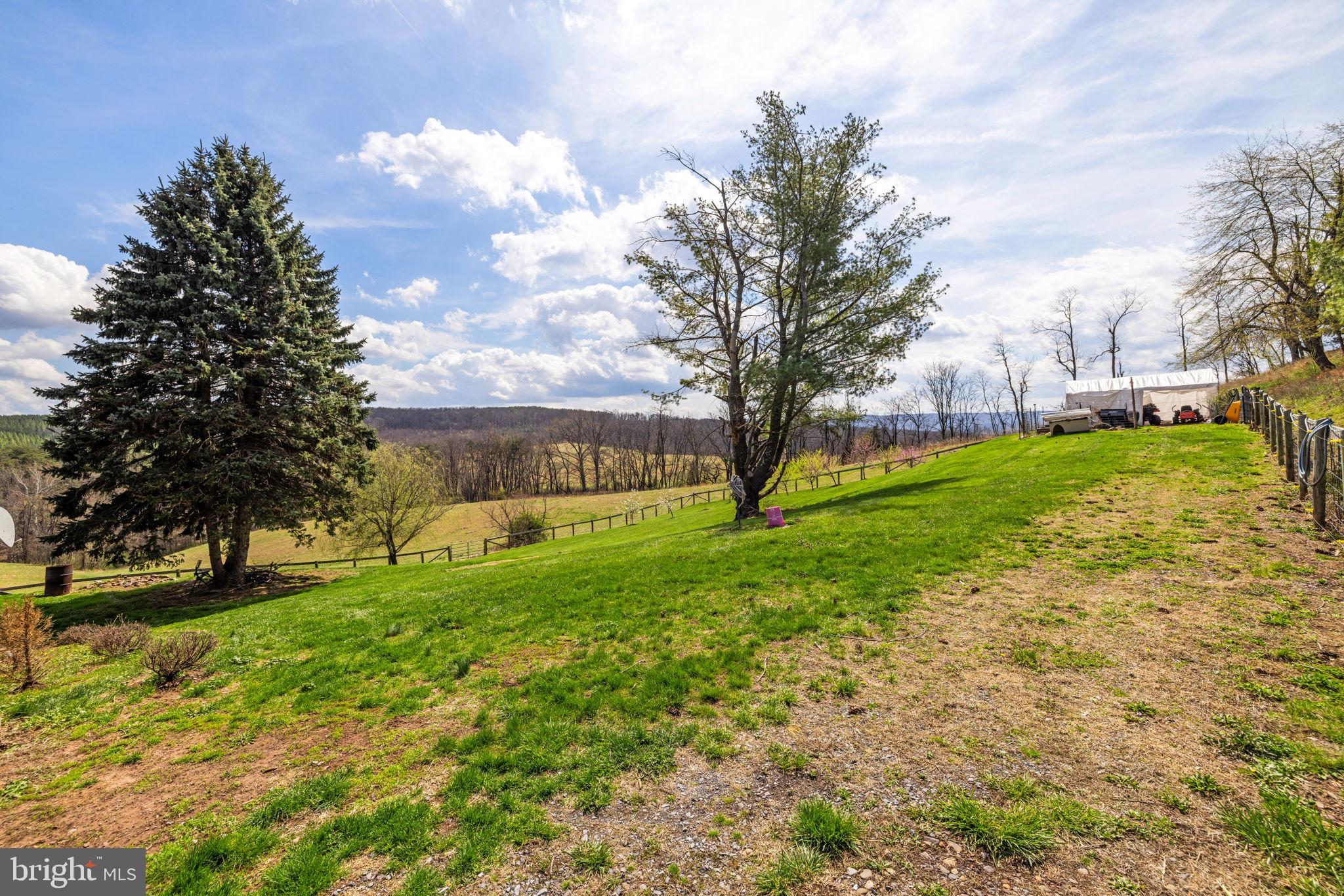 740 Whitacre Road Gore, VA 22637 - Photo 58 of 95 Exterior Side Yard View