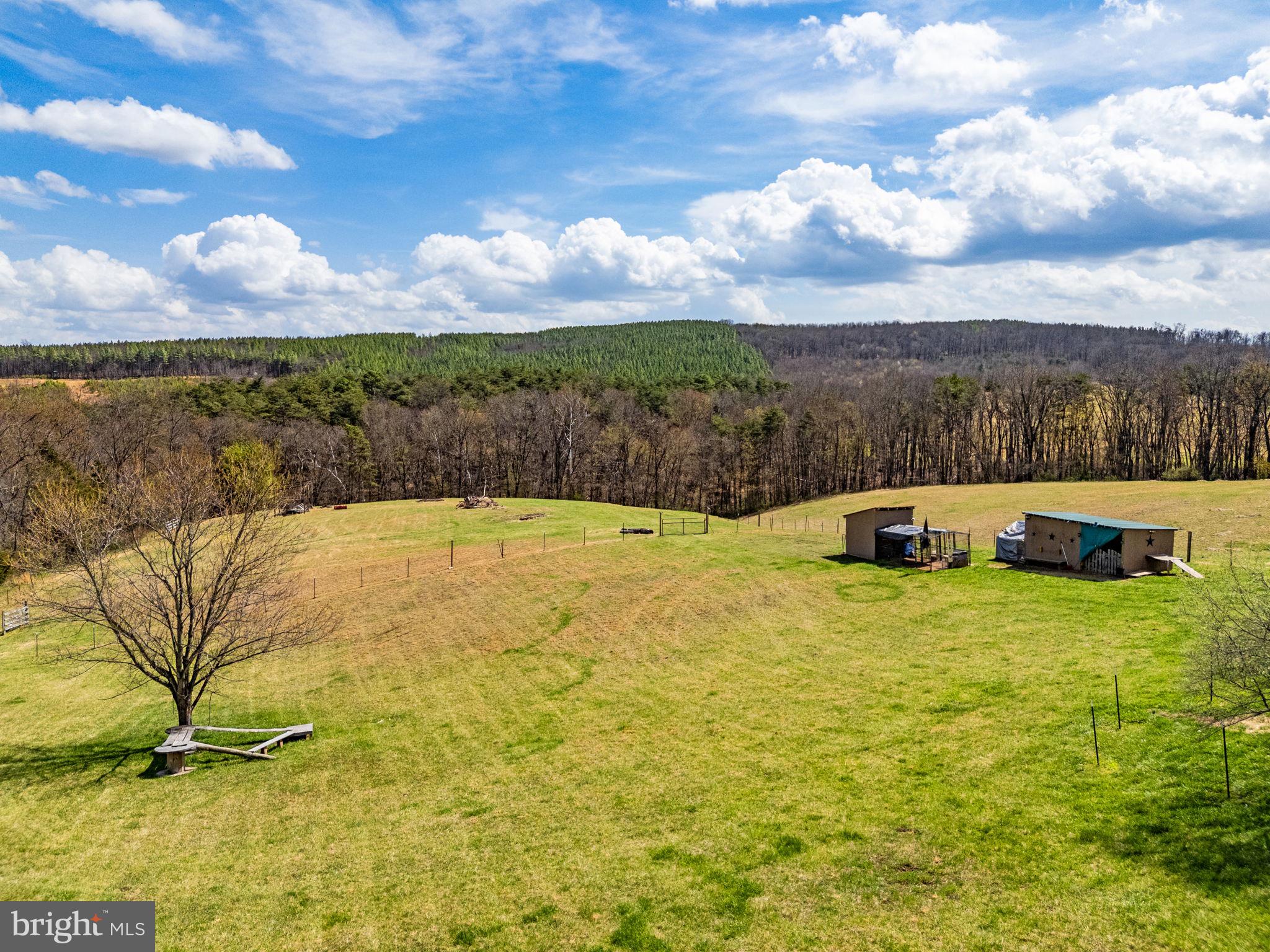 740 Whitacre Road Gore, VA 22637 - Photo 84 of 95 Glorious Views of your 25.98 Acres