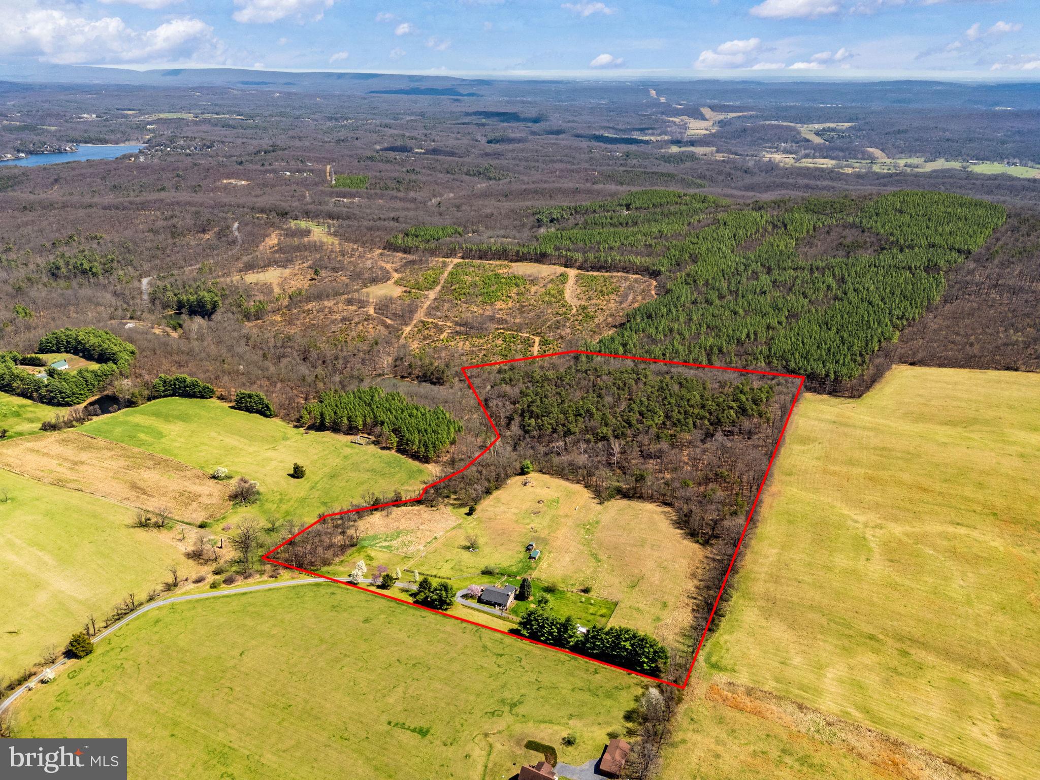 740 Whitacre Road Gore, VA 22637 - Photo 88 of 95 Glorious Views of your 25.98 Acres