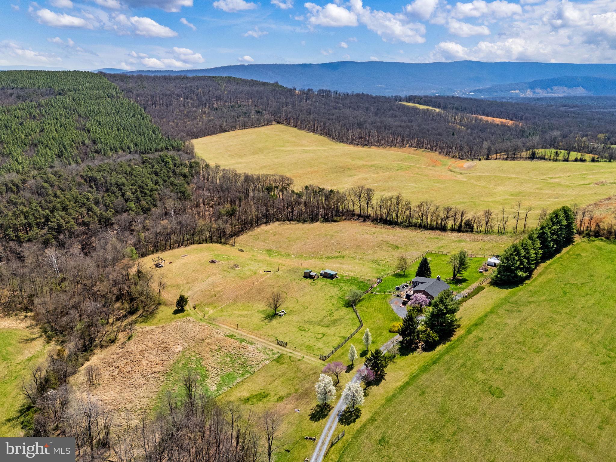740 Whitacre Road Gore, VA 22637 - Photo 91 of 95 Glorious Views of your 25.98 Acres
